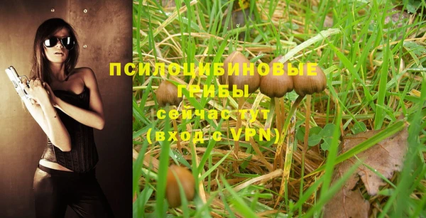 молекула духа Елизово
