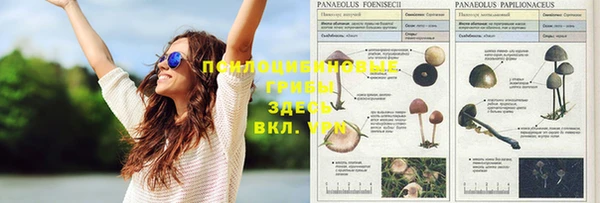 молекула духа Елизово