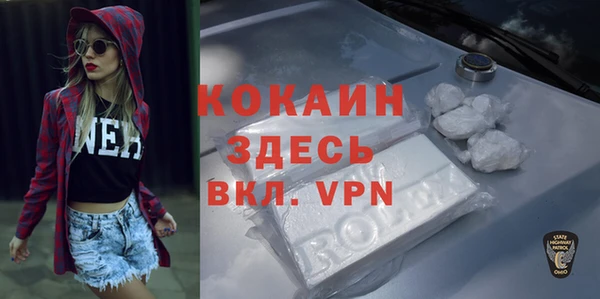 молекула духа Елизово