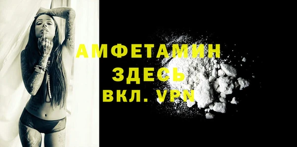 молекула духа Елизово
