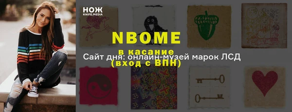 молекула духа Елизово