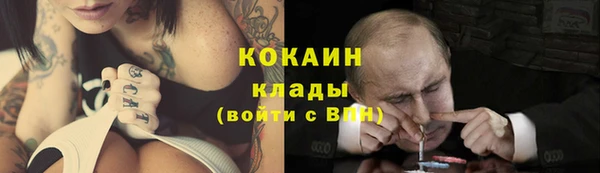 молекула духа Елизово