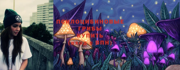гидропоника Ельня