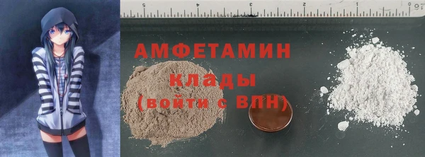 молекула духа Елизово