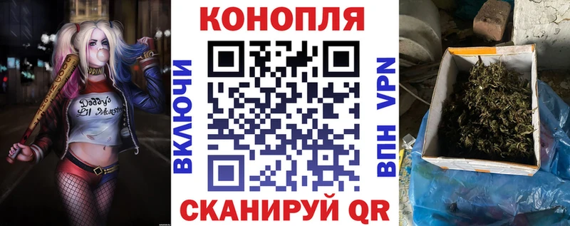 Купить закладки  Киселёвск  Бошки Шишки марихуана 
